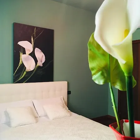 Casa Elisabetta * ペスキエーラ・デル・ガルダ